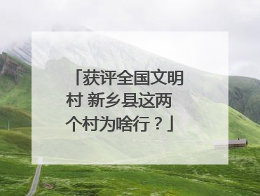 获评全国文明村 新乡县这两个村为啥行？