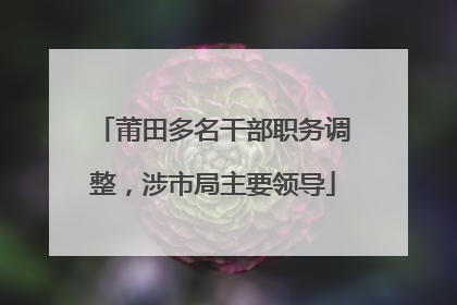莆田多名干部职务调整，涉市局主要领导