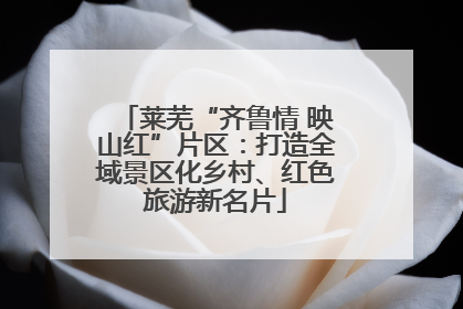 莱芜“齐鲁情 映山红”片区：打造全域景区化乡村、红色旅游新名片