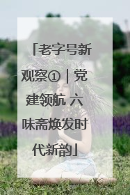 老字号新观察①｜党建领航 六味斋焕发时代新韵