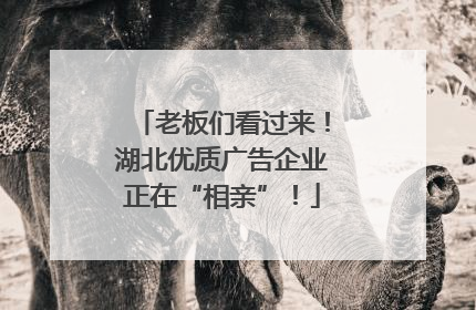 老板们看过来！湖北优质广告企业正在“相亲”！