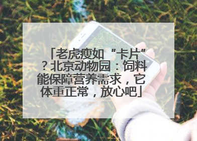老虎瘦如“卡片”？北京动物园：饲料能保障营养需求，它体重正常，放心吧