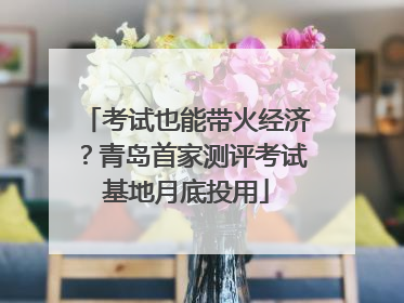 考试也能带火经济？青岛首家测评考试基地月底投用