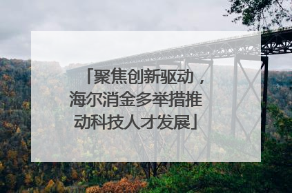 聚焦创新驱动，海尔消金多举措推动科技人才发展