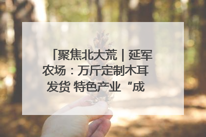 聚焦北大荒｜延军农场：万斤定制木耳发货 特色产业“成绩单”亮眼