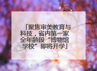 聚焦审美教育与科技，省内第一家全年龄段“博物馆学校”即将开学