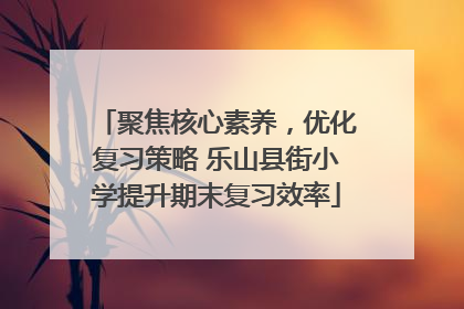 聚焦核心素养，优化复习策略 乐山县街小学提升期末复习效率
