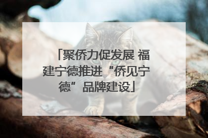 聚侨力促发展 福建宁德推进“侨见宁德”品牌建设