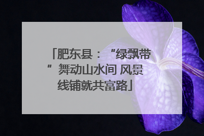 肥东县：“绿飘带”舞动山水间 风景线铺就共富路