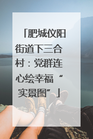 肥城仪阳街道下三合村：党群连心绘幸福“实景图”