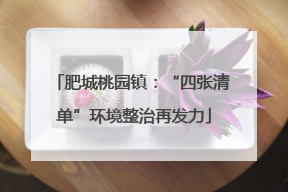肥城桃园镇：“四张清单”环境整治再发力
