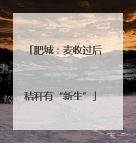 肥城：麦收过后秸秆有“新生”