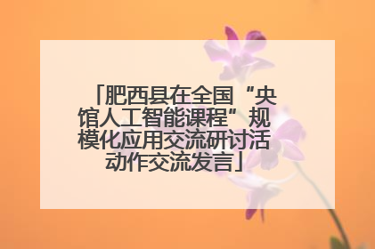 肥西县在全国“央馆人工智能课程”规模化应用交流研讨活动作交流发言