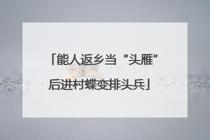 能人返乡当“头雁” 后进村蝶变排头兵