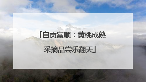 自贡富顺：黄桃成熟 采摘品尝乐翻天