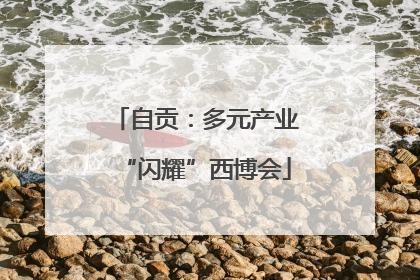 自贡：多元产业“闪耀”西博会