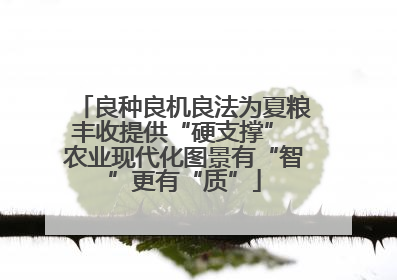 良种良机良法为夏粮丰收提供“硬支撑” 农业现代化图景有“智”更有“质”