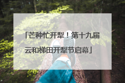 芒种忙开犁！第十九届云和梯田开犁节启幕
