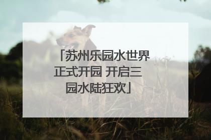 苏州乐园水世界正式开园 开启三园水陆狂欢