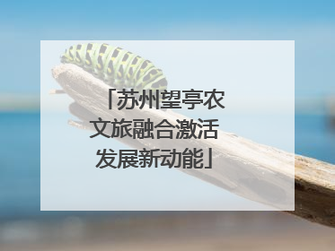 苏州望亭农文旅融合激活发展新动能