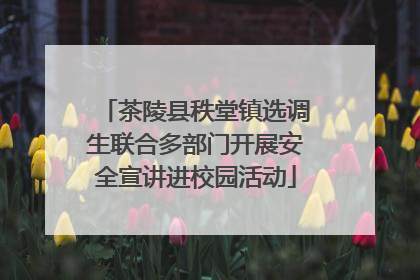 茶陵县秩堂镇选调生联合多部门开展安全宣讲进校园活动