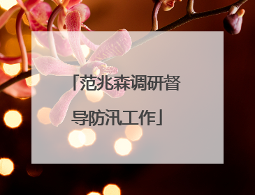范兆森调研督导防汛工作
