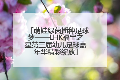 萌娃绿茵播种足球梦——LHK福宝之星第三届幼儿足球嘉年华精彩绽放