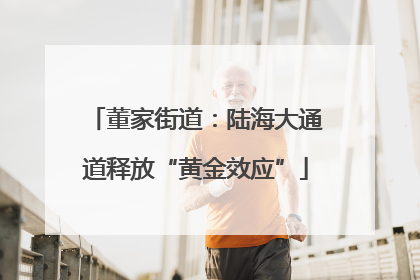 董家街道：陆海大通道释放“黄金效应”