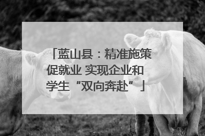 蓝山县：精准施策促就业 实现企业和学生“双向奔赴”