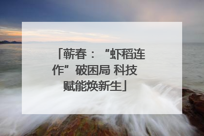 蕲春：“虾稻连作”破困局 科技赋能焕新生