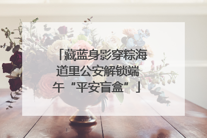 藏蓝身影穿粽海 道里公安解锁端午“平安盲盒”