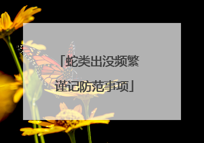 蛇类出没频繁 谨记防范事项