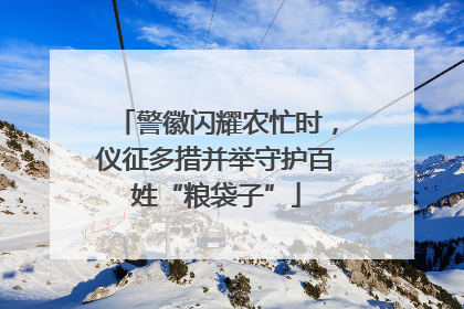 警徽闪耀农忙时，仪征多措并举守护百姓“粮袋子”
