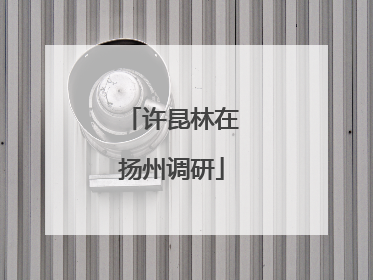 许昆林在扬州调研