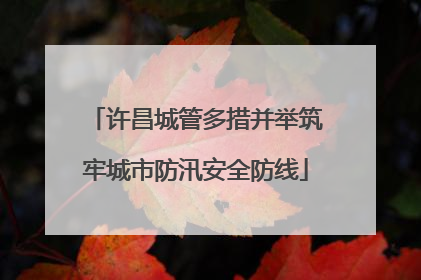 许昌城管多措并举筑牢城市防汛安全防线