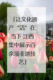 让文化遗产“活”在当下 江西集中展示百余项非遗技艺