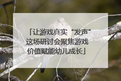 让游戏真实“发声” 这场研讨会聚焦游戏价值赋能幼儿成长