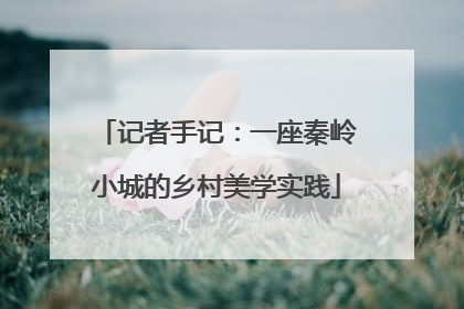 记者手记：一座秦岭小城的乡村美学实践