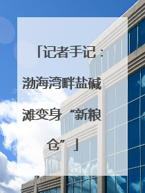 记者手记：渤海湾畔盐碱滩变身“新粮仓”