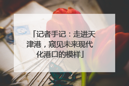 记者手记：走进天津港，窥见未来现代化港口的模样