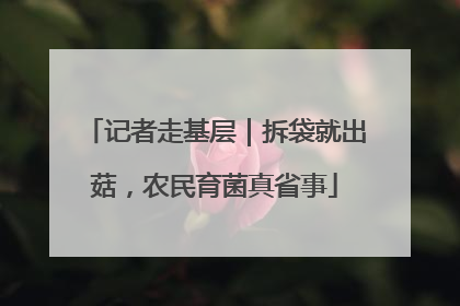记者走基层｜拆袋就出菇，农民育菌真省事