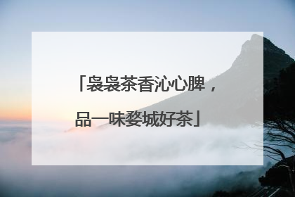 袅袅茶香沁心脾，品一味婺城好茶