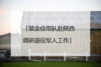 裴金佳带队赴陕西调研退役军人工作