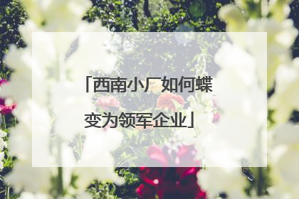 西南小厂如何蝶变为领军企业