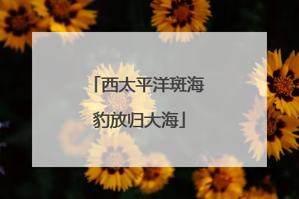 西太平洋斑海豹放归大海