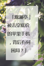 观澜亭｜被击穿底价的苹果手机，背后有何困局？