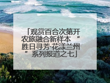 观赏百合次第开 农旅融合新样本 “胜日寻芳·花漾兰州”系列报道之七