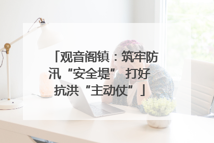 观音阁镇：筑牢防汛“安全堤” 打好抗洪“主动仗”
