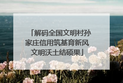 解码全国文明村孙家庄信用筑基育新风文明沃土结硕果