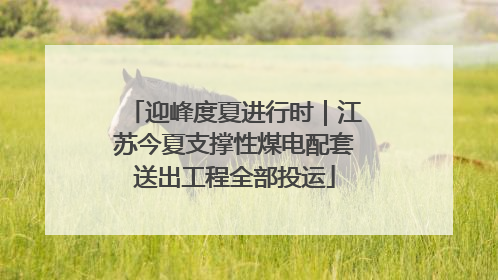 迎峰度夏进行时｜江苏今夏支撑性煤电配套送出工程全部投运